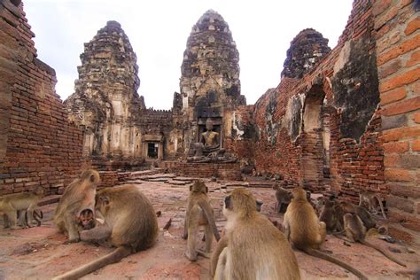 Lopburi Korallitemppeli - Mystisten Apinoiden ja Upean Arkkitehtuurin Yhdistelmä!